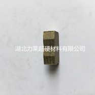 1200Diamond segments